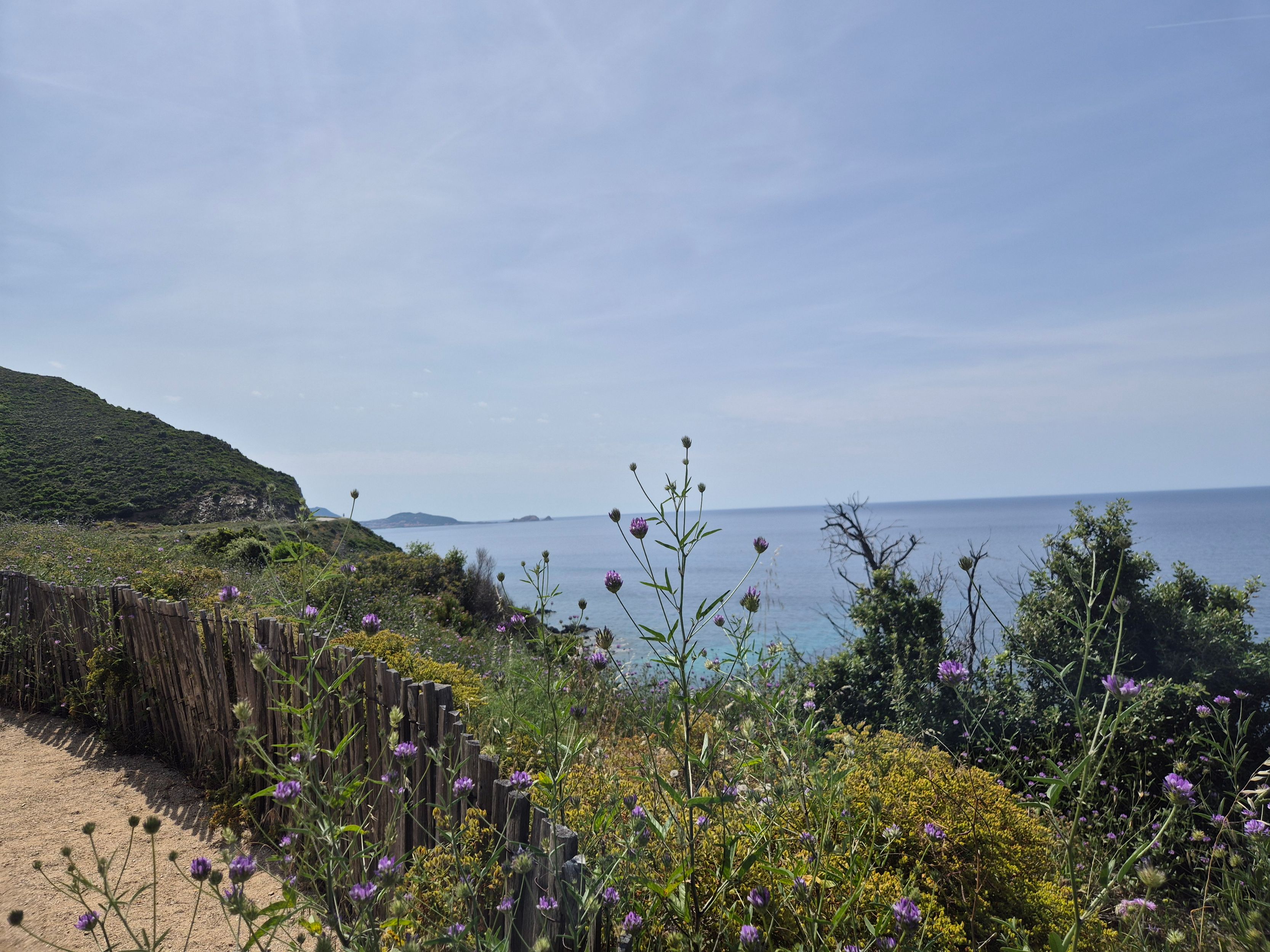 Bild: Reisebericht Korsika & Provence